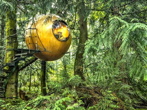 Discover the Magic of Sustainable Living in a Wood Tree House